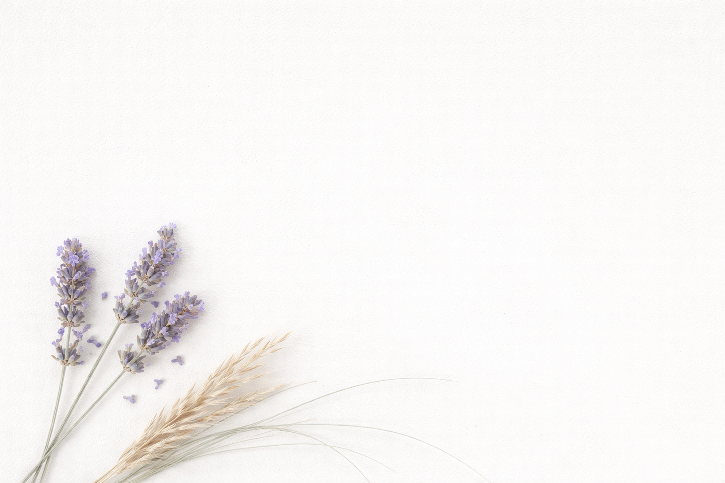 Drift | Seagrass & Wild Lavender