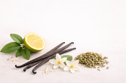 Ember | Vanilla, Patchouli & Sandalwood